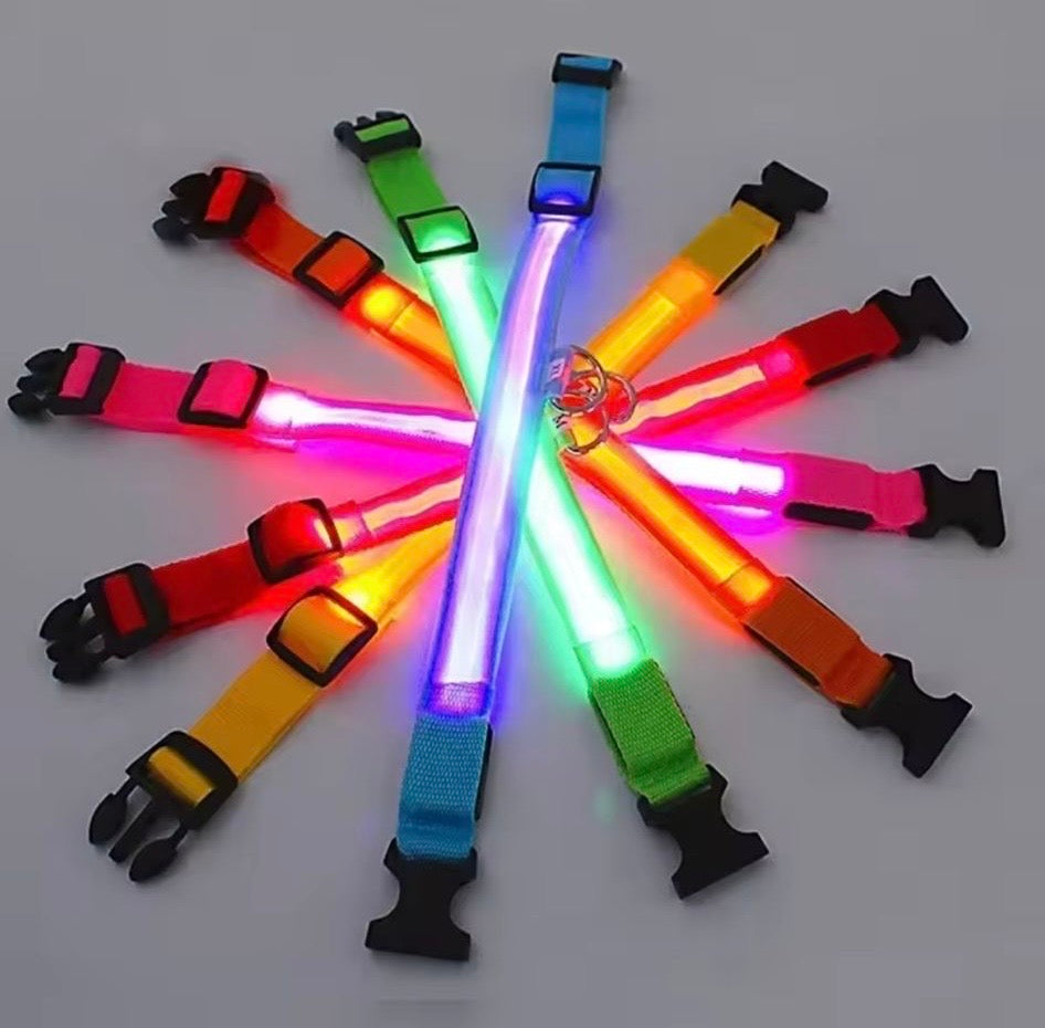 LED collar