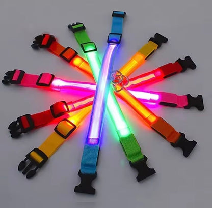 LED collar