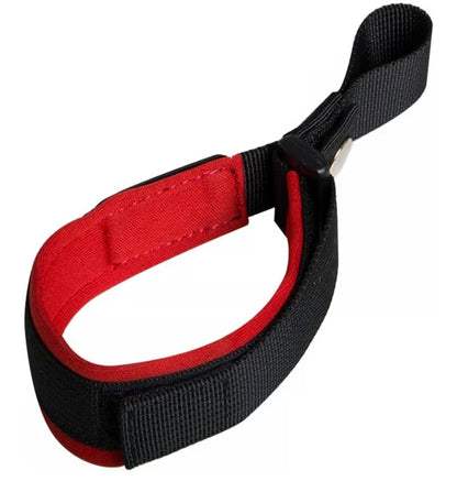 seat belt