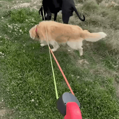 Duo Leine bis zu 13Kilo/28lbs pro Hund